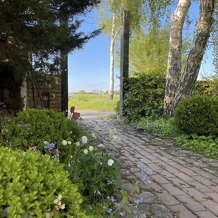 Idyllic Farm House With 5 Near The Saaler Bodden * Saal