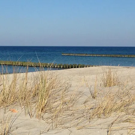 Apartment Idyllic Farm House With 5 Near The Saaler Bodden