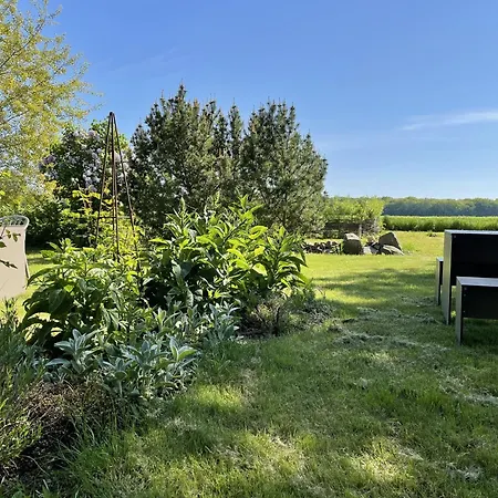 Idyllic Farm House With 5 Near The Saaler Bodden