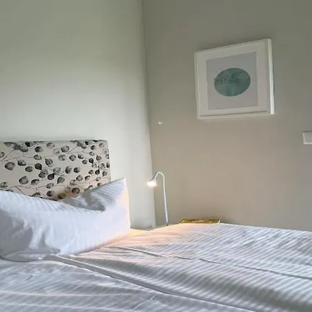 Idyllischer Hof Mit 5 Wohnungen Nahe Des Saaler Boddens