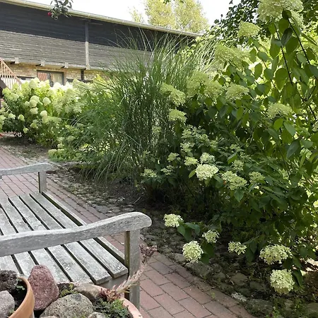 Idyllischer Hof Mit 5 Wohnungen Nahe Des Saaler Boddens Apartmán