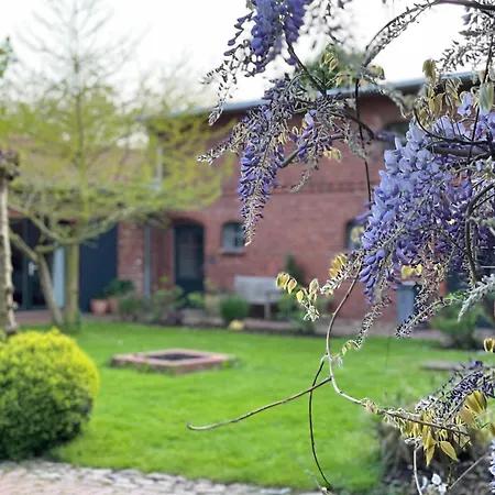 Idyllischer Hof Mit 5 Wohnungen Nahe Des Saaler Boddens Apartmán *