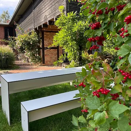 Idyllischer Hof Mit 5 Wohnungen Nahe Des Saaler Boddens *