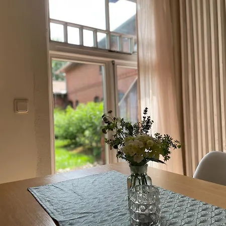 Idyllischer Hof Mit 5 Wohnungen Nahe Des Saaler Boddens * Saal