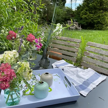 Idyllischer Hof Mit 5 Wohnungen Nahe Des Saaler Boddens Saal