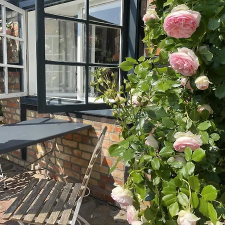 Idyllischer Hof Mit 5 Wohnungen Nahe Des Saaler Boddens Apartmán *