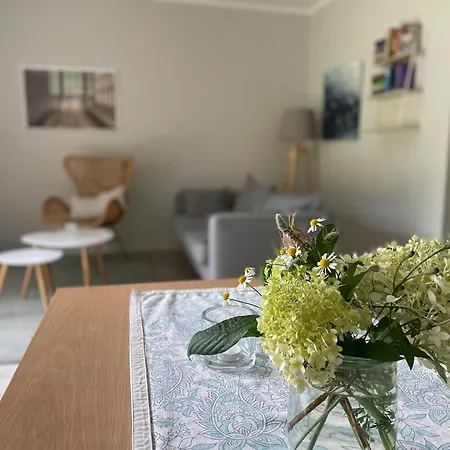 Idyllischer Hof Mit 5 Wohnungen Nahe Des Saaler Boddens Apartmán Saal