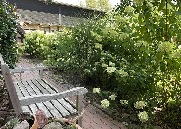 Idyllischer Hof Mit 5 Wohnungen Nahe Des Saaler Boddens Lägenhet