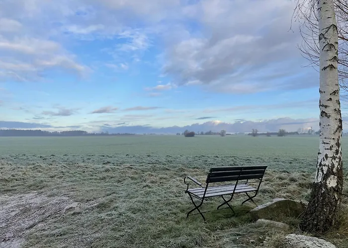 Lägenhet Idyllischer Hof Mit 5 Wohnungen Nahe Des Saaler Boddens