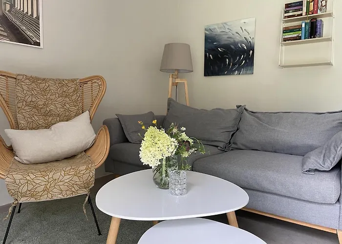 Idyllischer Hof Mit 5 Wohnungen Nahe Des Saaler Boddens Saal