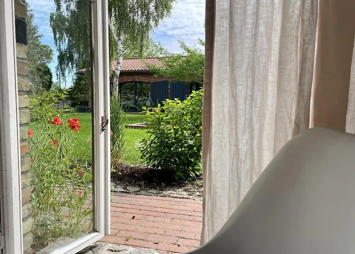 Idyllischer Hof Mit 5 Wohnungen Nahe Des Saaler Boddens * Saal